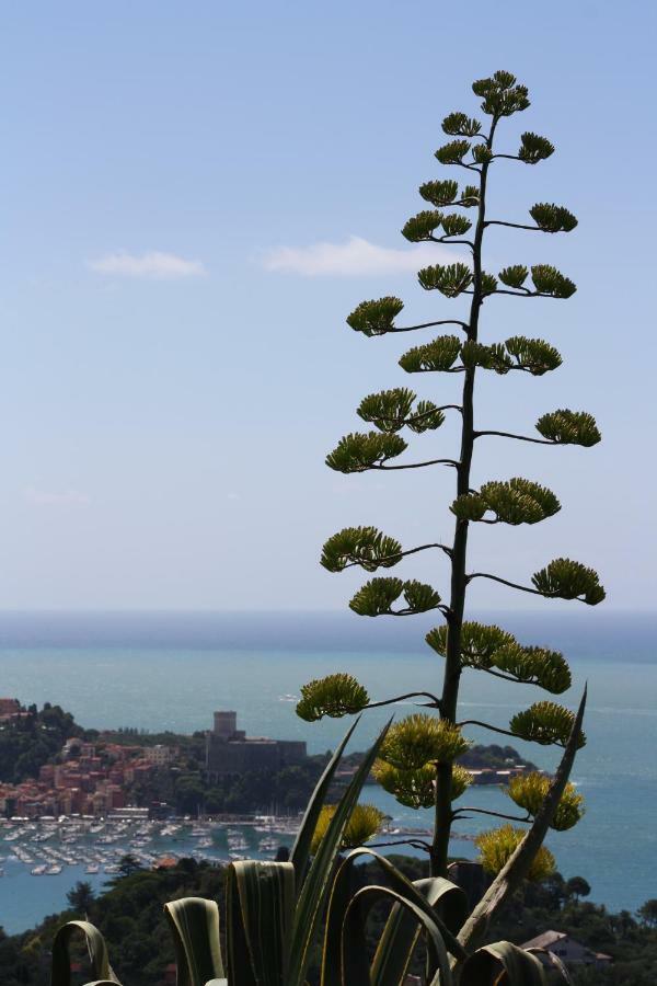 Vila Agave Di Lerici Exteriér fotografie