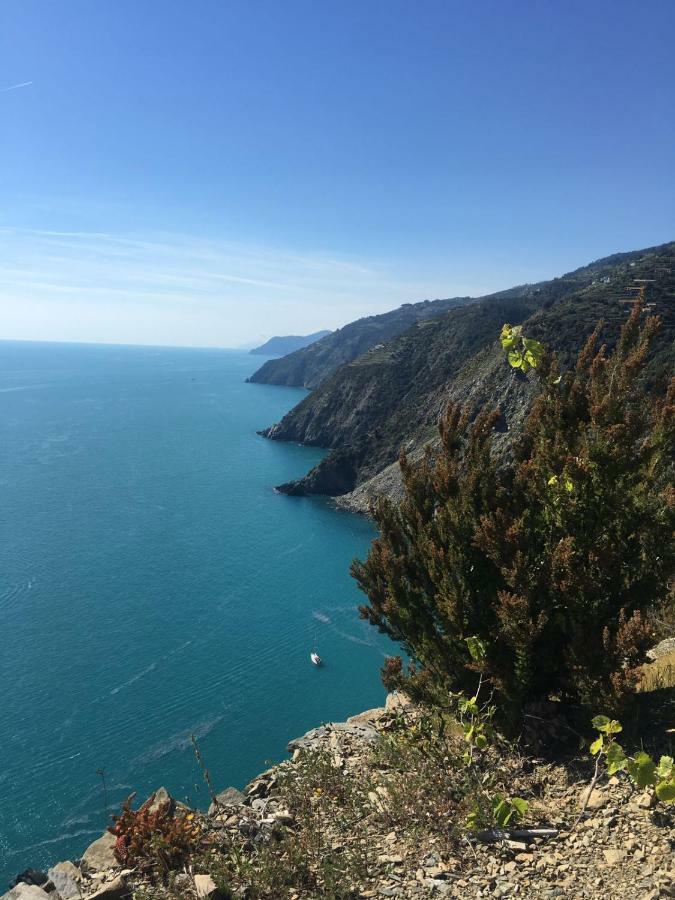 Vila Agave Di Lerici Exteriér fotografie
