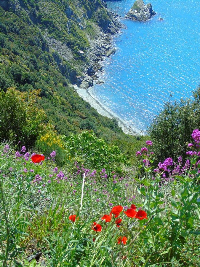 Vila Agave Di Lerici Exteriér fotografie