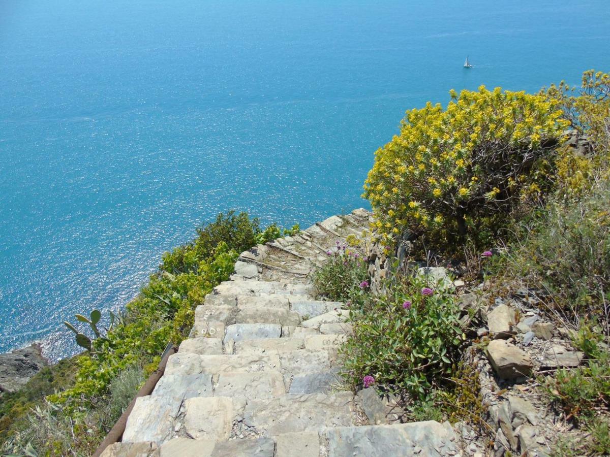 Vila Agave Di Lerici Exteriér fotografie