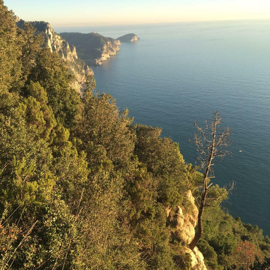 Vila Agave Di Lerici Exteriér fotografie